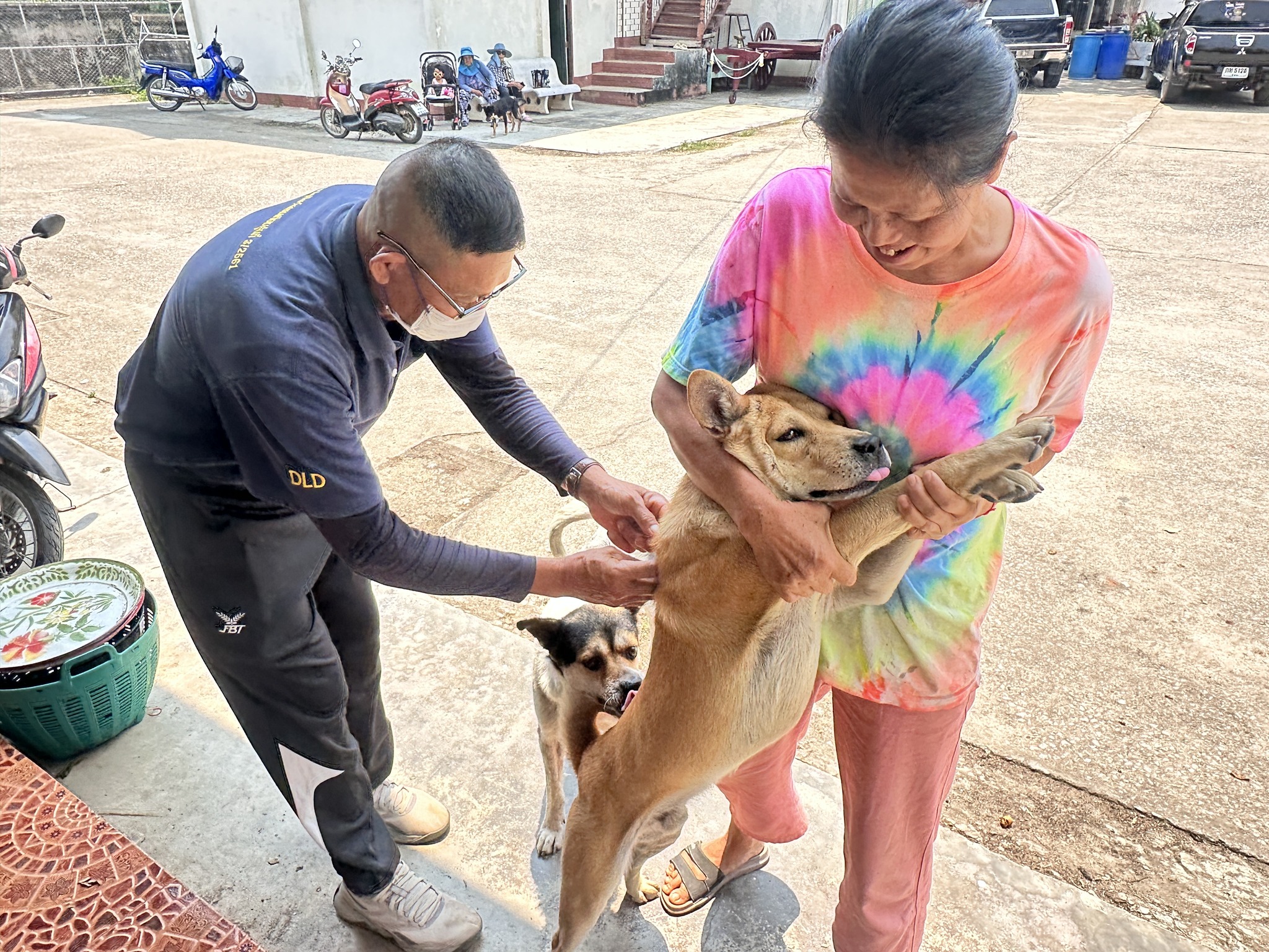 💉🐶😺'สัตว์ปลอดโรค คนปลอดภัย' เทศบาลตำบลเมืองยาวส่งความห่วงใยถึงบ้าน ให้บริการฉีดวัคซีนป้องกันโรคพิษสุนัขบ้า ประจำปี 2569💉